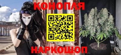 стафф Бийск