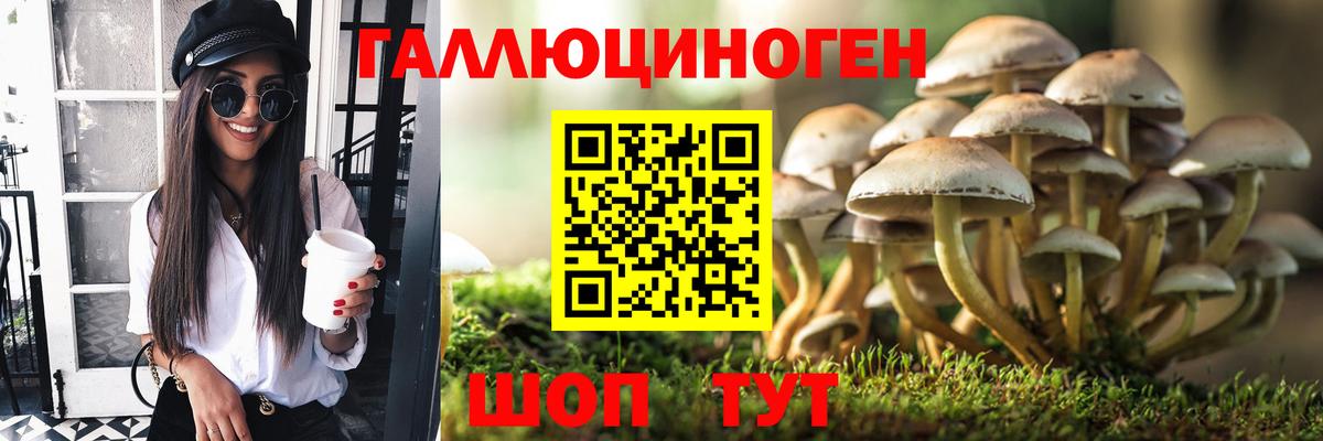 Псилоцибиновые грибы ЛСД Заводоуковск