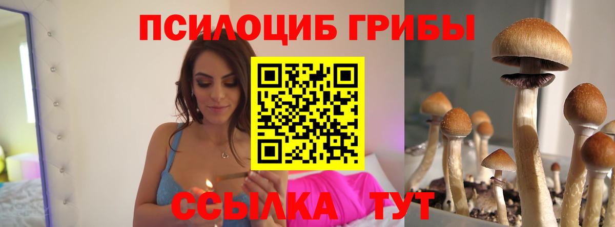 Заводоуковск  Псилоцибиновые грибы прущие грибы  Вход с VPN 