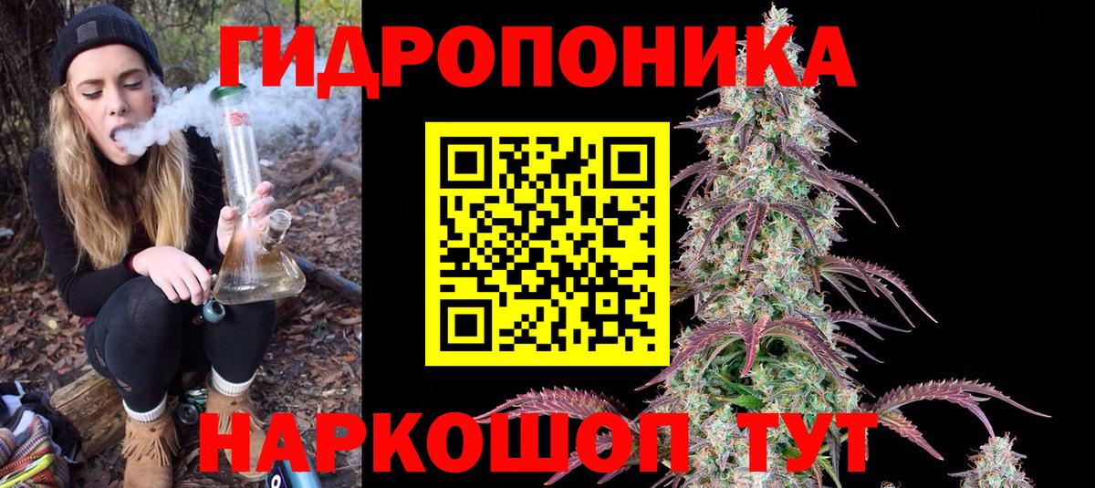 Шишки марихуана индика Заводоуковск